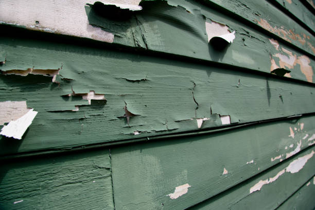 Best Hoarding Cleanup  in Bridgeton, MO