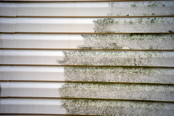 Best Basement Cleanout  in Bridgeton, MO